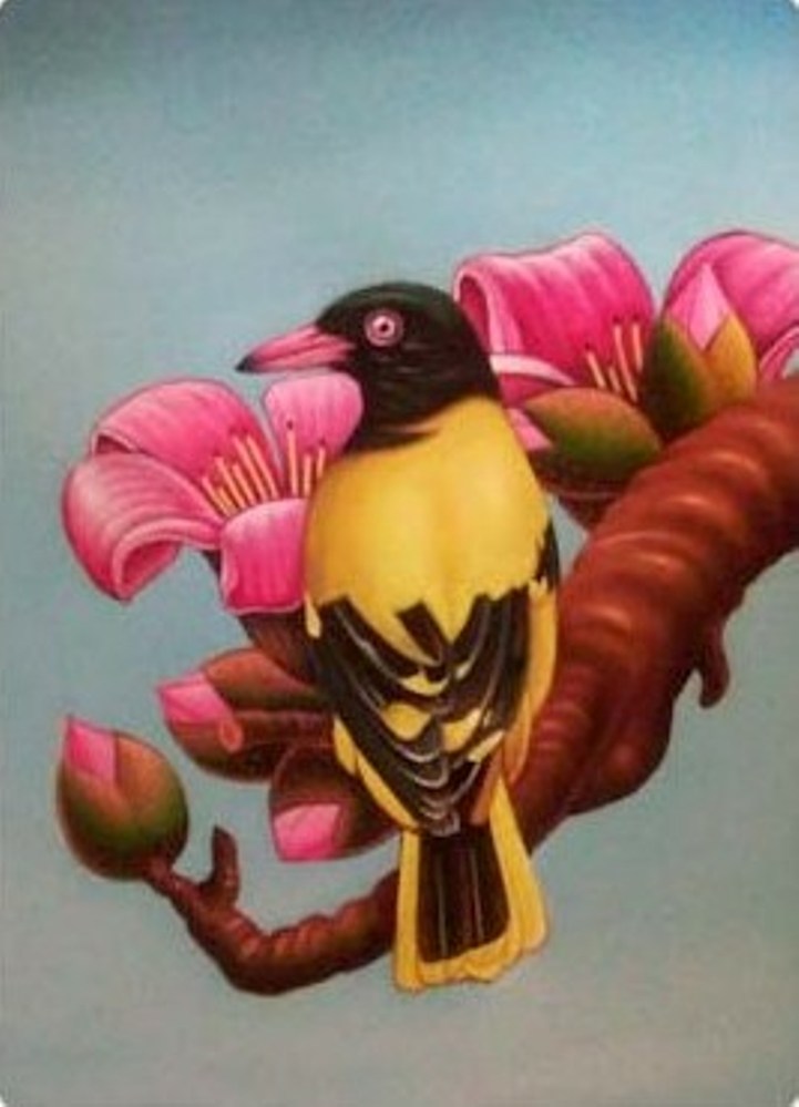 Murali Nagapuzha