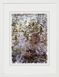 Jayshree Chakraborty Untitled Mixed Media on Board 27x39 inches 2017
