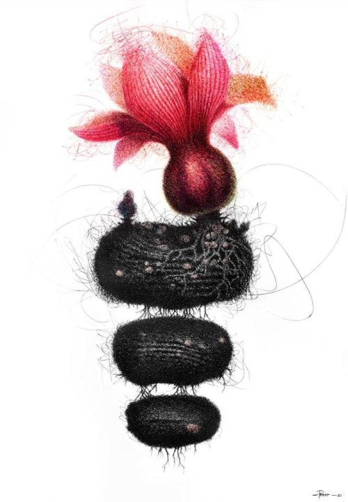 Pratap Chandra Chakraborty The Roots of Soul Pen & Ink on Paper 42x30 inches 2020