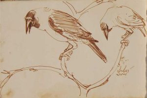 Crows, Figurative, Brush & Watercolour on Paper (Recto-Verso) | Set of 14 works