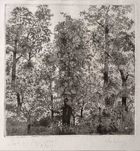 Landscape, AP – 19/12, Etching on Paper