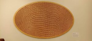 Aquamorph : Where Motion Takes Wings