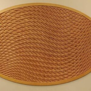 Aquamorph : Where Motion Takes Wings