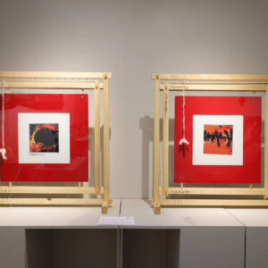 Display View