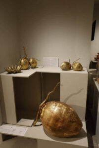 Display View
