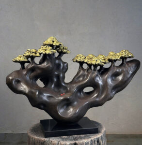 Enchanted Forest | An Ode to the Soul of Nature