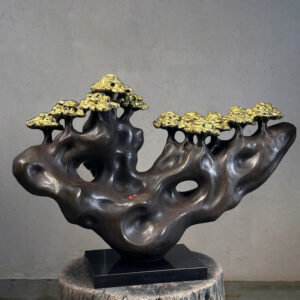 Enchanted Forest | An Ode to the Soul of Nature