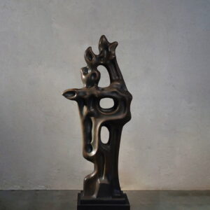 Soaring High, Flight of Inner Passion (Large)