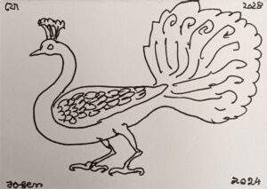 Untitled (Peacock)