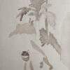 K. G. Subramanyan Untitled Watercolour on Paper 11 x 7.5 inches 1998