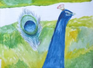 Untitled (Peacock)