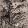 Suhas Roy Untitled Pastel & Sketch on Paper 9 x 12 inches 2007
