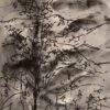 Suhas Roy Untitled Pastel & Sketch on Paper 9 x 12 inches 2007