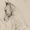 Sunil Das Horse Ink on Paper 11 x 9 inches 2005