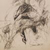 Sunil Das Untitled Ink on Paper 13.25 x 8.75 inches 1977