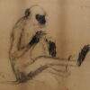 Prahlad Karmakar Untitled Charcoal on Paper 17 x 13 inches