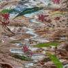 Arunima Choudhury Untitled Acrylic on Canvas 27.5 x 51.9 inches