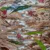 Arunima Choudhury Untitled Acrylic on Canvas 27.5 x 51.9 inches